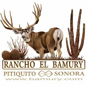 Bamury Hunting Video channel